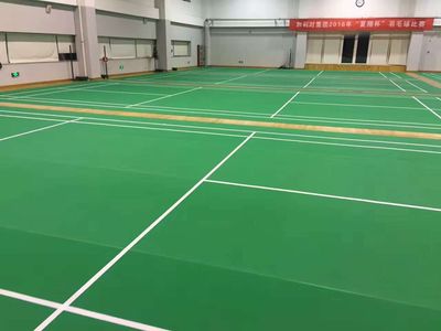 羽毛球地膠,運(yùn)動(dòng)塑膠地板,奧麗奇品牌