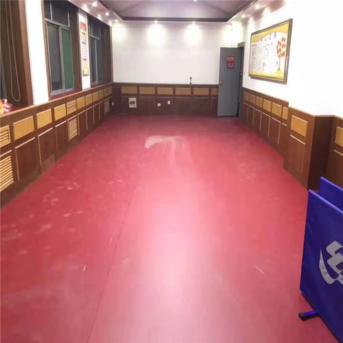 乒乓球場地膠 品牌塑膠地板