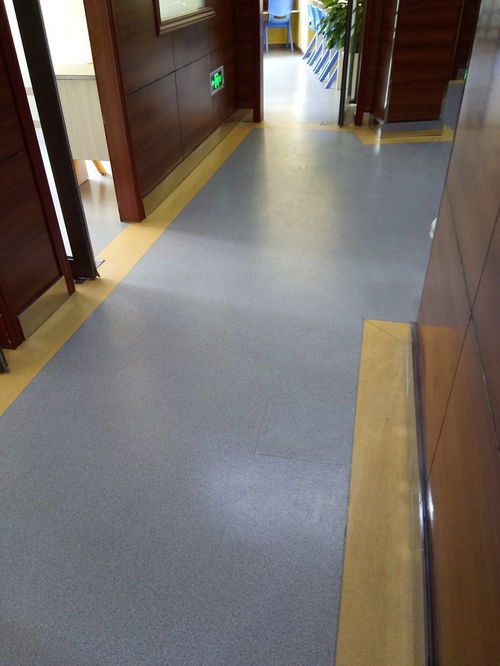 翠屏區(qū) pvc塑膠地板 三臺縣地膠 蛋糕房木紋運(yùn)動(dòng)地膠