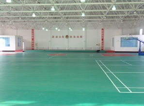 天津運動地板、廊坊PVC地板、唐山塑膠地板與滄州球場地板廠家圖片展示